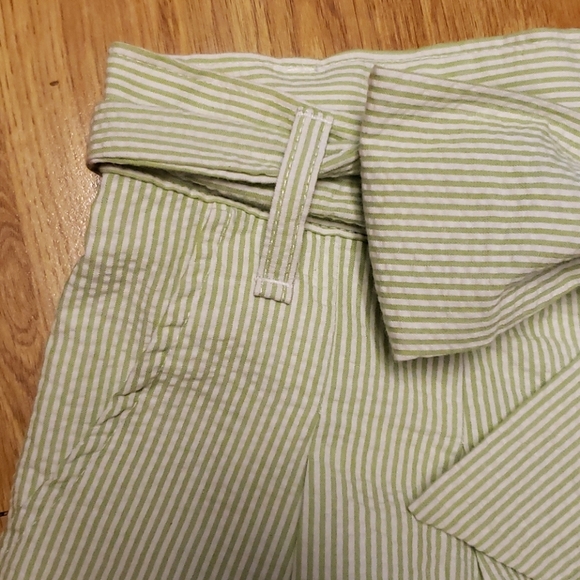 NWT Lauren James green stripe seersucker shorts M - Picture 2 of 5